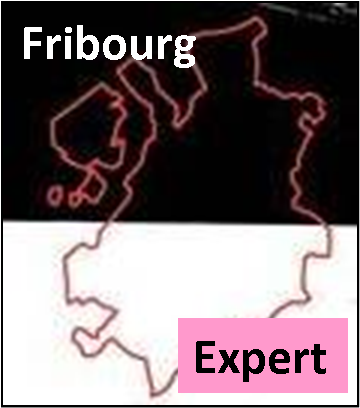 Routekaart Expert